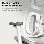 SIHOO Doro S100 Ergonomic Office Chair - with Dual Dynamic Lumbar Support, 5-Level Adjustable Backrest, 4D Coordinated Armrests, 135-degree Max. Recline Angle White