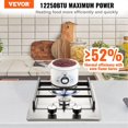 thumbnail image 2 of Gas Cooktop 12 Inch Max 12250BTU 2 Built-in Stainless Steel LPG/NG Convertible Dual Fuel Thermocouple Protection, 2 of 7