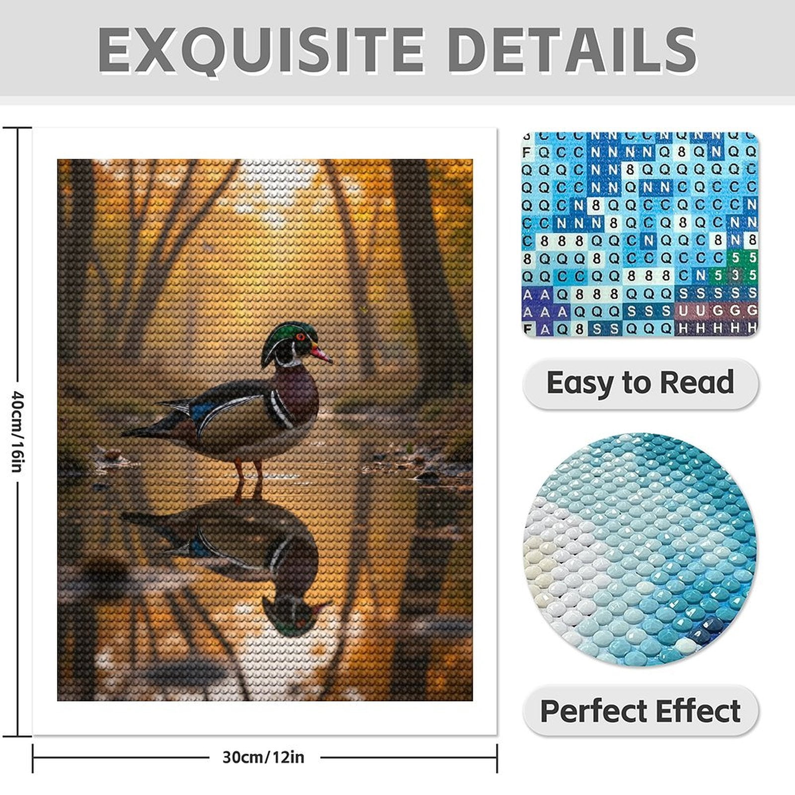 Diamond Art Kit for Adults, Duck Autumn Forest Reflection Diamond Painting for Adults Beginners, 5D DIY Diamond Art Painting Kits, Colorful Diamond Painting Craft for Home Decor 12x16