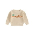 thumbnail image 1 of xiaxaixu Toddler Halloween Sweaters Pumpkin Letter Embroidered Long Sleeve Round Neck Ribbed Knitted Pullover, 1 of 8