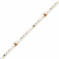 thumbnail image 1 of American Lighting SPTL-TW 13.1 ft. Trulux Tunable White 24V Spec Grade IP54 LED Tape Light, 1 of 1