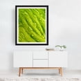 thumbnail image 3 of Rain On Hosta - Photography Nature Abstract Botanical Water Pattern Tropical Garden Black Framed Wall Art Print 9 x 12 inches, 3 of 4