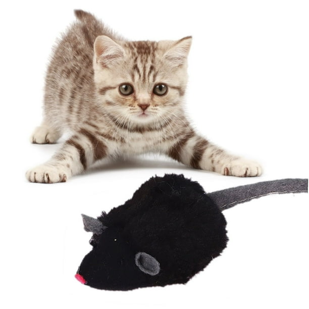 Animaux en peluche pour chat, taille de chat réaliste mignonne