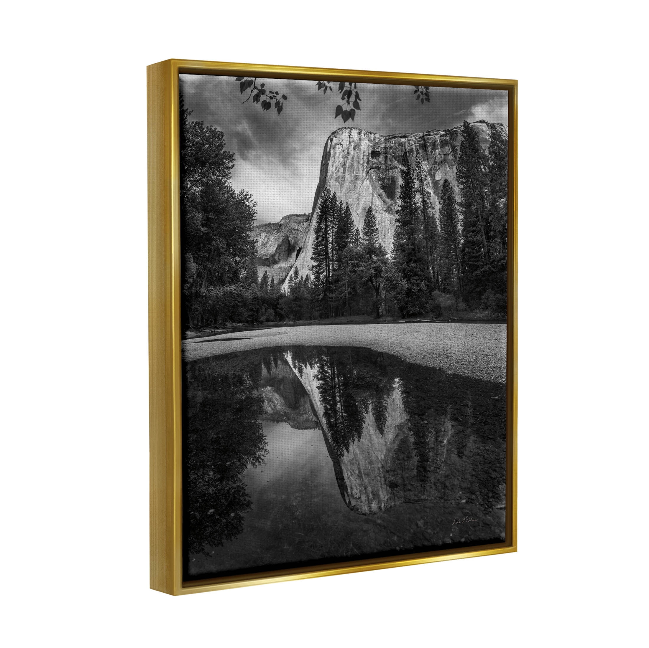 Stupell Industries Yosemite Wildlife Nature Reflection Photograph Metallic Gold Floating Framed Canvas Print Wall Art, Design by Andre Eichman