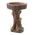 thumbnail image 4 of Plow & Hearth Resin Raccoon Birdbath, 4 of 6