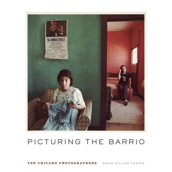 Latinx and Latin American Profiles Picturing the Barrio: Ten Chicano Photographers, Book 10, (Paperback)