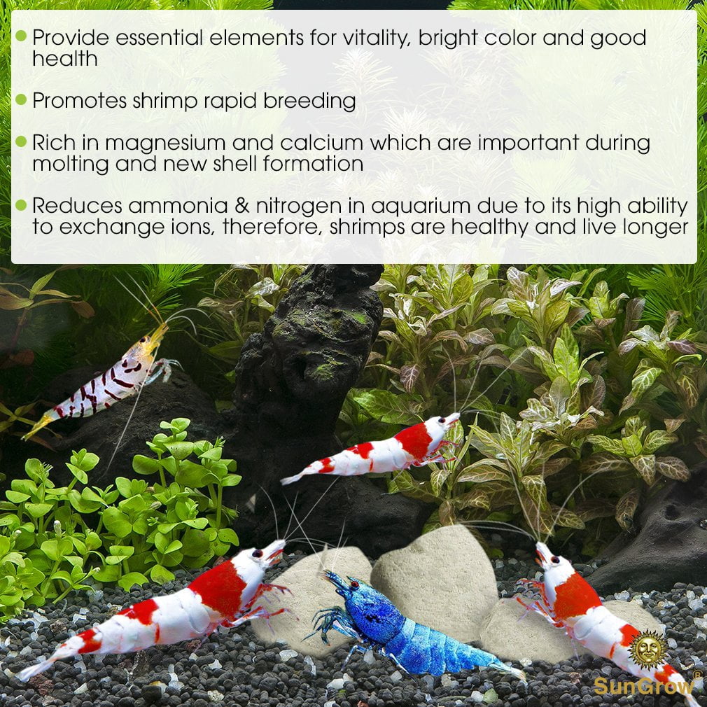 SunGrow Mineral Rocks for Shrimp, Crawfish, Snails, Calcium Helps in Molting, Enhance Shell Color and Strength, Best Support for Shell-Shedding, 1.7 oz