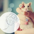 thumbnail image 3 of Gymnture Hanging Sphere Feed Dispenser for Small Pets (2pcs), 3 of 10