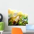 thumbnail image 1 of Drop Plant Wall Mural Decal Sticker, Wallmonkeys Peel & Stick Vinyl Graphic (18 in W x 15 in H), 1 of 4