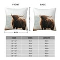 thumbnail image 2 of Pofeuu Yak Print Double-sided plush pillowcase Square Throw Pillow Covers Pillows Cover for Living Room Bedroom Sofa Couch Cushion Cover（No pillow core）-26"x26", 2 of 7