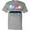 AC-Heather Grey, variant on Inktastic I'm Just Here for the Sweets with Spun Sugar Candy T-Shirt