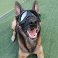 thumbnail image 2 of Gafas protectoras para perros con correas ajustables, fáciles de poner y anti-UV para perros medianos y grandes., 2 of 5