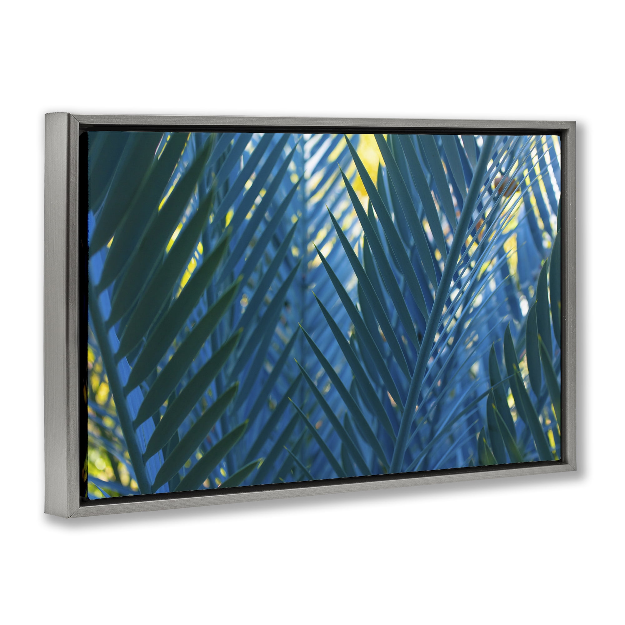 Stupell Industries Blue Palm Fronds Plants & Flowers Photography Gray Floater Framed Canvas Art Print Wall Art, 31 x 21