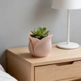 thumbnail image 5 of Cheapark Rose Shaped Planter Flower Pot Succulent Holder Cute Floral Design Indoor Home Living Room Desktop Decoration, 5 of 6