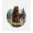 thumbnail image 3 of Ambesonne Bear Shower Curtain, Angry Carnivore Mammal, 69"Wx75"L, Brown Green Pale Blue, 3 of 5