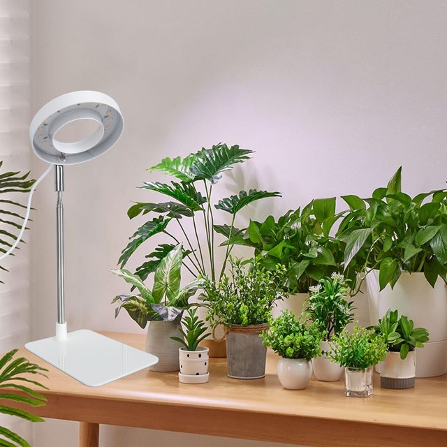 Luz De Crecimiento De Plantas, Luz De Crecimiento De Plantas Halo 2H 4H 8H Temporizador Atenuación De Brillo De 4 Niveles Para Horticultura