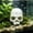 C, variant on Cififendec Halloween Aquarium Skull Ornament, 3.93"×3.46", Plastic Hideout Cave for Fish Tank Reptile Terrarium Turtle Lizard Shrimp Hiding Decor