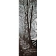 thumbnail image 2 of Szilagyi, Ily 9x18 White Modern Wood Framed Museum Art Print Titled - A Walk To Remember II, 2 of 4