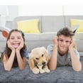 thumbnail image 3 of Assile 6' x 9' Large Modern Shag Rugs for Living Room Fluffy Soft Area Rug Plush Carpet for Bedroom Indoor Luxury Fuzzy Rug,Gray, 3 of 5