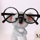 thumbnail image 3 of Cute Koala Glasses Frame - Resin Animal Statue Display Stand for Sunglasses (Desk Decoration), 3 of 5
