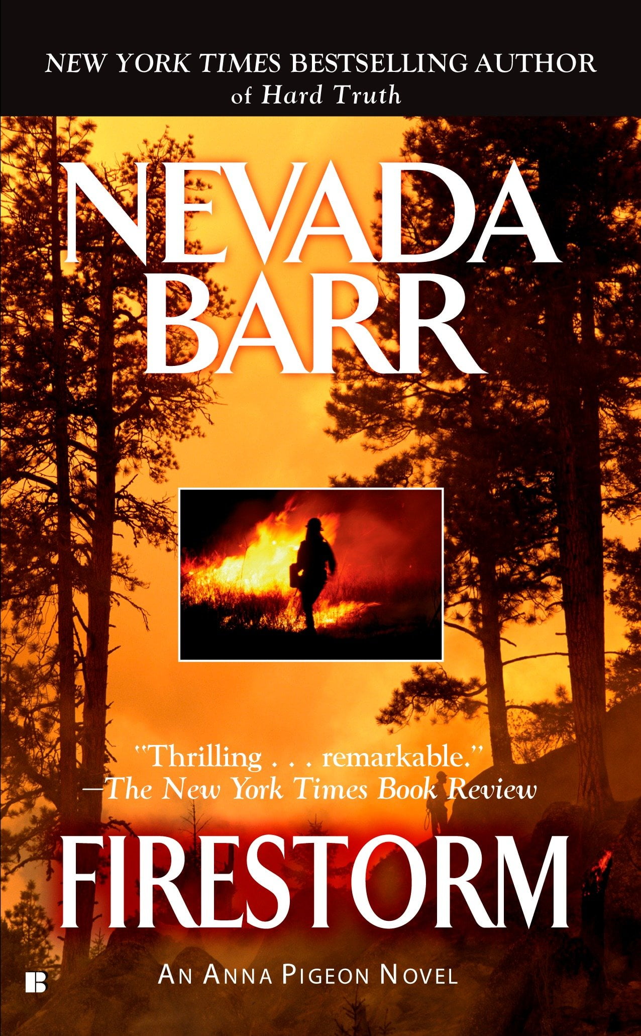 firestorm by nevada barr firestorm by nevada barr