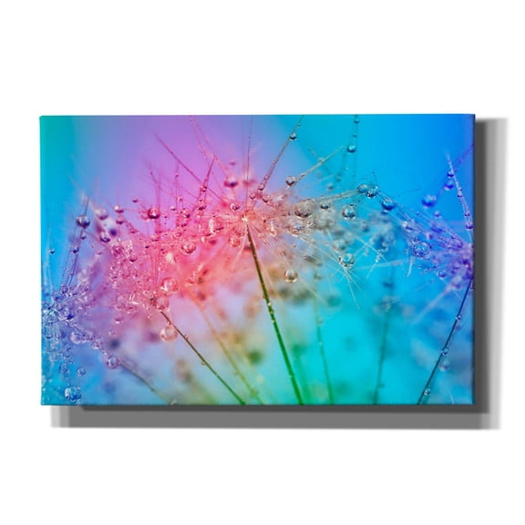 Epic Graffiti 'Rainbow Droplets' by Cora Niele, Canvas Wall Art, 18"x12"