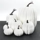 thumbnail image 2 of Billuyoard Decoraciones de modelo de calabaza para interior y exterior, diseño de escena, accesorio vegetal, adorno para el hogar, calabazas Decoración del hogar No.2, 2 of 6