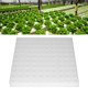 thumbnail image 1 of Esponja Hidropónica 100 Piezas De Medios De Cultivo De Semillas De Esponja De Jardinería Para Invernadero ANGGREK Otros, 1 of 8