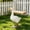 White-D, variant on Goose Statue, Resin Porch Goose Decorations Outdoor, Mini White Geese Garden Animal Figurine for Patio, Balcony, or Front Porch Decor, White