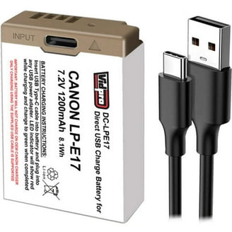 Canon Camera Lithium-Ion Battery Pack BP-820 (1780mAh) - Walmart.com