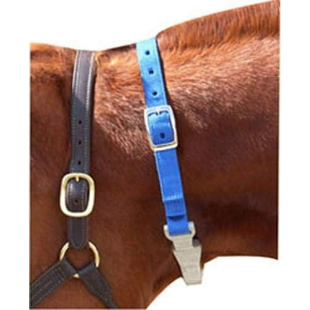 Hilason Western Tack Horse Nylon Crown Nut Cracker Cribbing Strap