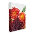 thumbnail image 3 of Stupell Industries Summer Dahlia Flower Trio Red Purple Floral Photography, 24 x 30,Design by Nick Saez, 3 of 5