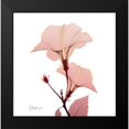 thumbnail image 2 of Koetsier, Albert 12x12 Black Modern Framed Museum Art Print Titled - Golden Blush 1, 2 of 5
