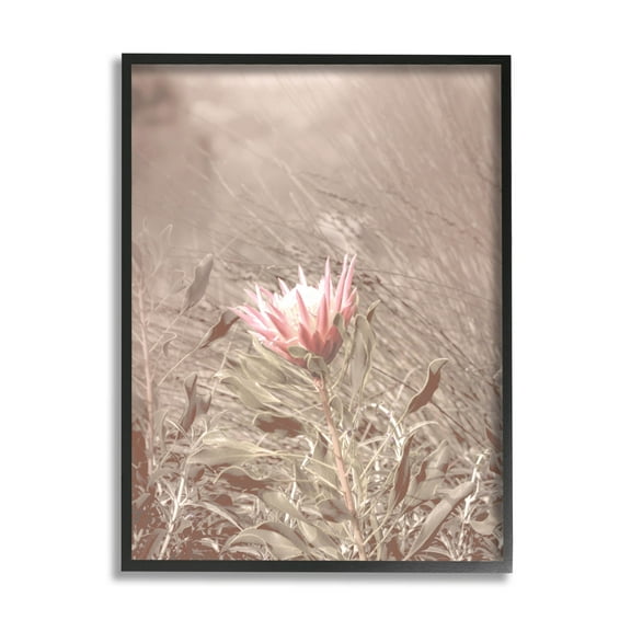 Stupell Industries Lone Pink Flower Grassland Photograph Black Framed Art Print Wall Art, Design by Lil' Rue
