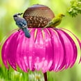 thumbnail image 3 of ACDANC Squirrel Proof Coneflower Standing Bird Feeder Squirrel Proof Bird Feeders, 3 of 7