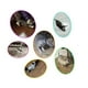 thumbnail image 4 of Juguete automático para gatos, juguetes para gatos, gatitos, perros pequeños, colores aleatorios, divertido regalo de ejercicio, 4 of 7