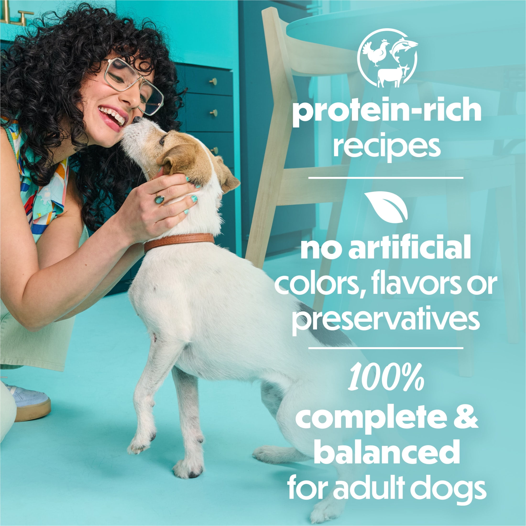(4 pack) Purina Beneful Small Breed Wet Dog Food Variety Pack, IncrediBites With Real Beef, Chicken and Salmon, 3 oz.