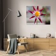 thumbnail image 3 of Dana Styber 32x23 Gallery Wrapped Canvas Wall Art Titled - Stardust II, 3 of 4
