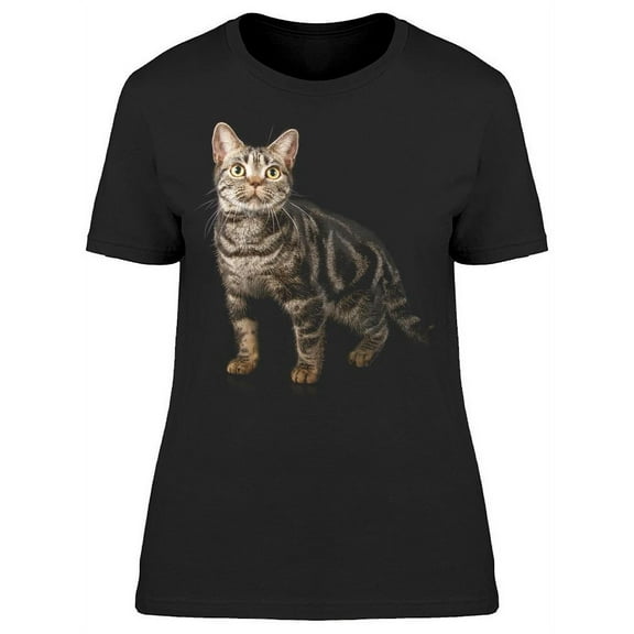 Shorthair Kitten Looks Up T-Shirt Women -Image by Shutterstock, Female Medium