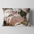 thumbnail image 2 of Designart Pat of Flamingos Close Up - Abstract Throw Pillow - 12x20, 2 of 5