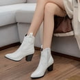 thumbnail image 1 of DPTALR Women's Plus Size Stone Grain Point Toe Thick Heel Boots Zipper Booties, 1 of 9