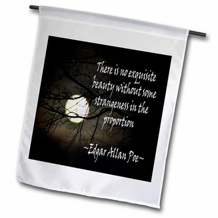 Photo Garden Flag 3dRose Edgar Allan Poe No Exquisite Is a Photo of the Moon with a Quote Polyester Garden Flag ()