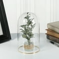 thumbnail image 2 of Plymor 4.5" x 8" Glass Display Dome Cloche with Gold Rim (no Base), Pack of 6, 2 of 3