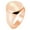 Rose Gold, variant on Sterling Silver Live to Run Engraved Round Flat Top Polished Ring