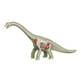 thumbnail image 2 of Fiocias Learning Prop Animal Body Model Animal Biology Learning Toy,Science Kits Teaching Toy Teaching Demonstration for Ages 8+ Kids 3103, 2 of 8