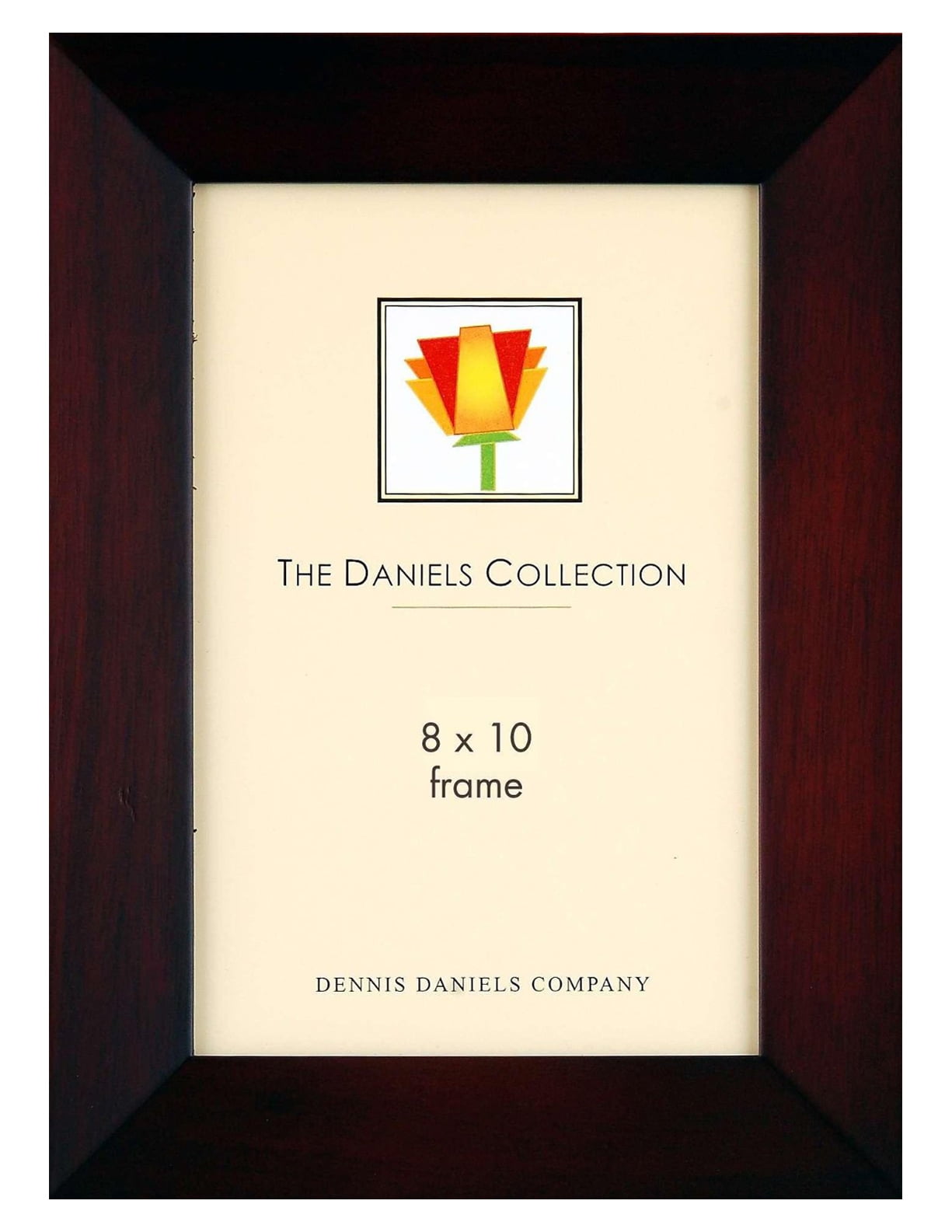 Dennis Daniels Home Accents Steel Contour Ebony Picture Frame 8 x 10 Inches