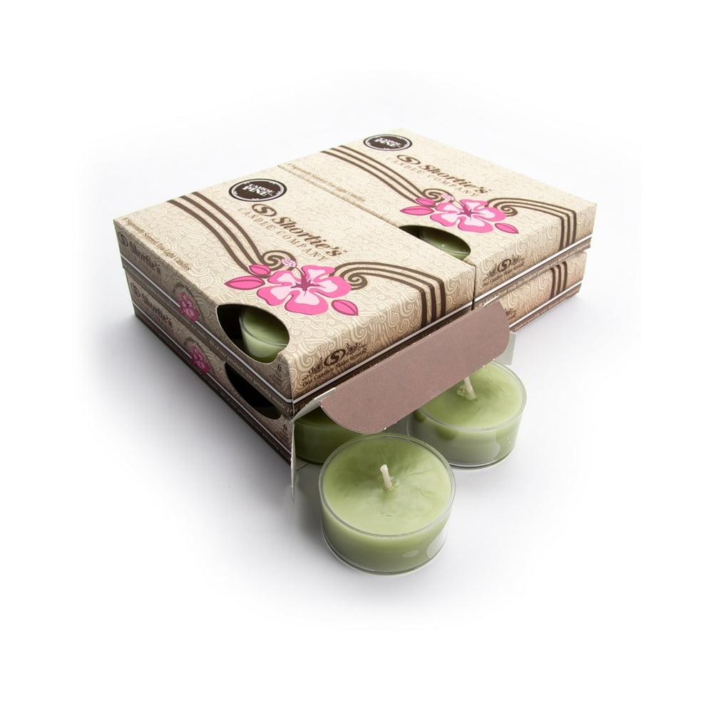 Tahoe Pine Tealight Candles Bulk Pack (24 Green Highly Scented Tea