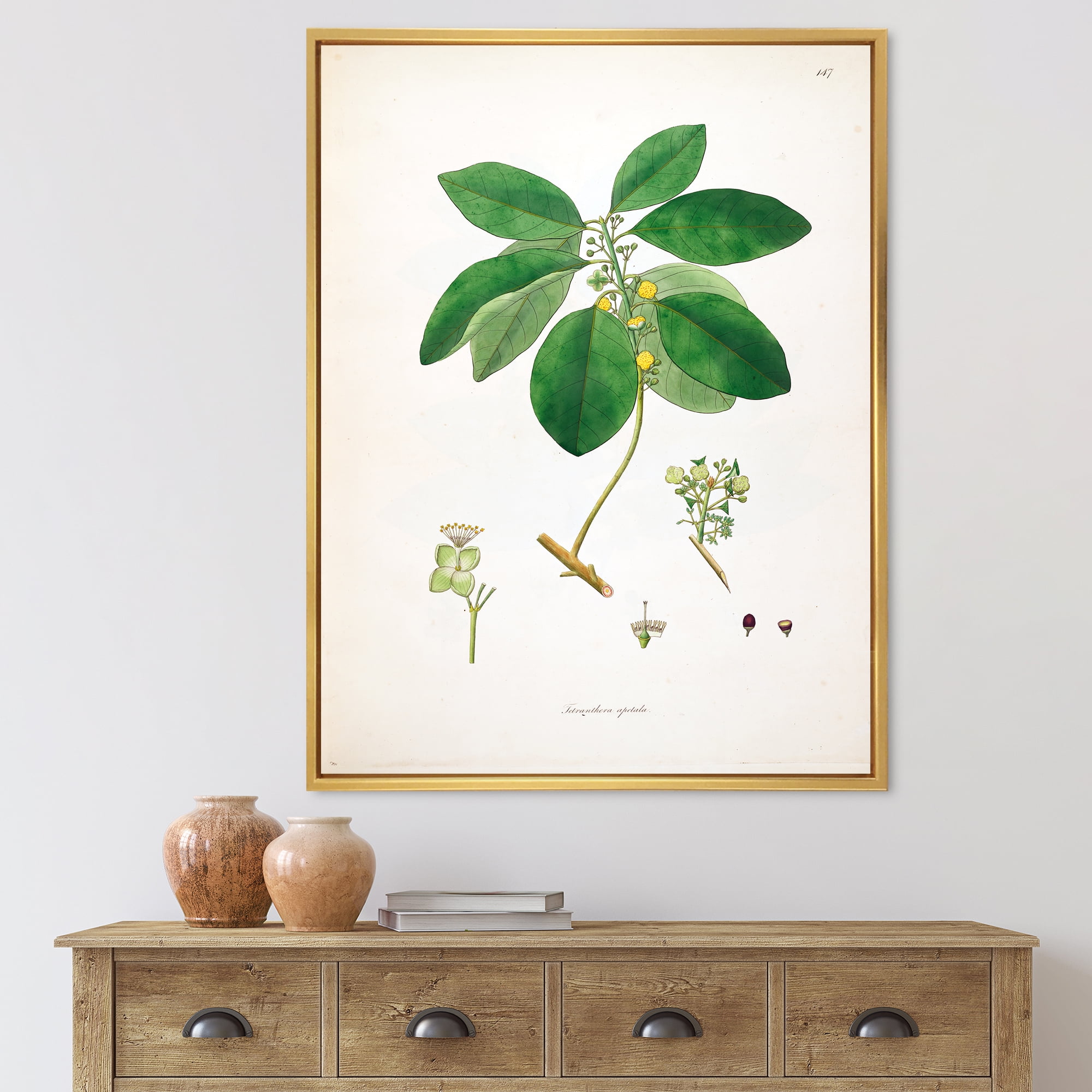 Ancient Botanicals V 16 in x 32 in Framed Painting Canvas Art Print, by Designart