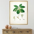 thumbnail image 2 of Designart 'Ancient Botanicals V' Farmhouse Framed Canvas Wall Art Print, 2 of 5