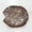 Bronze, variant on HANDMADE ECO-FRIENDLY 100% ALUMINUM TRADITIONAL PATTERN BRONZE DECORATIVE TRAYS- 14.17'' x 14.17'' x 1.18'' SIZE, BRONZE COLOR, TRADITIONAL DESIGN, DECORATIVE TRAYS BBH HOMES
